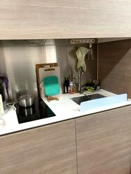 Seletar Park Residence (D28), Condominium #460625941